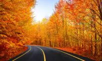 Fall Foliage 2022