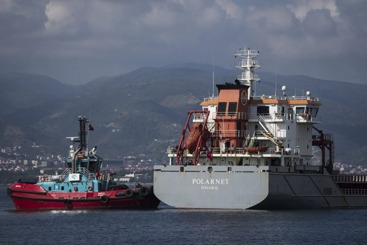 The cargo ship Polarnet arrives to Derince port in the Gulf of Izmit, Turkey, on Aug. 8, 2022. (Khalil Hamra/AP Photo)