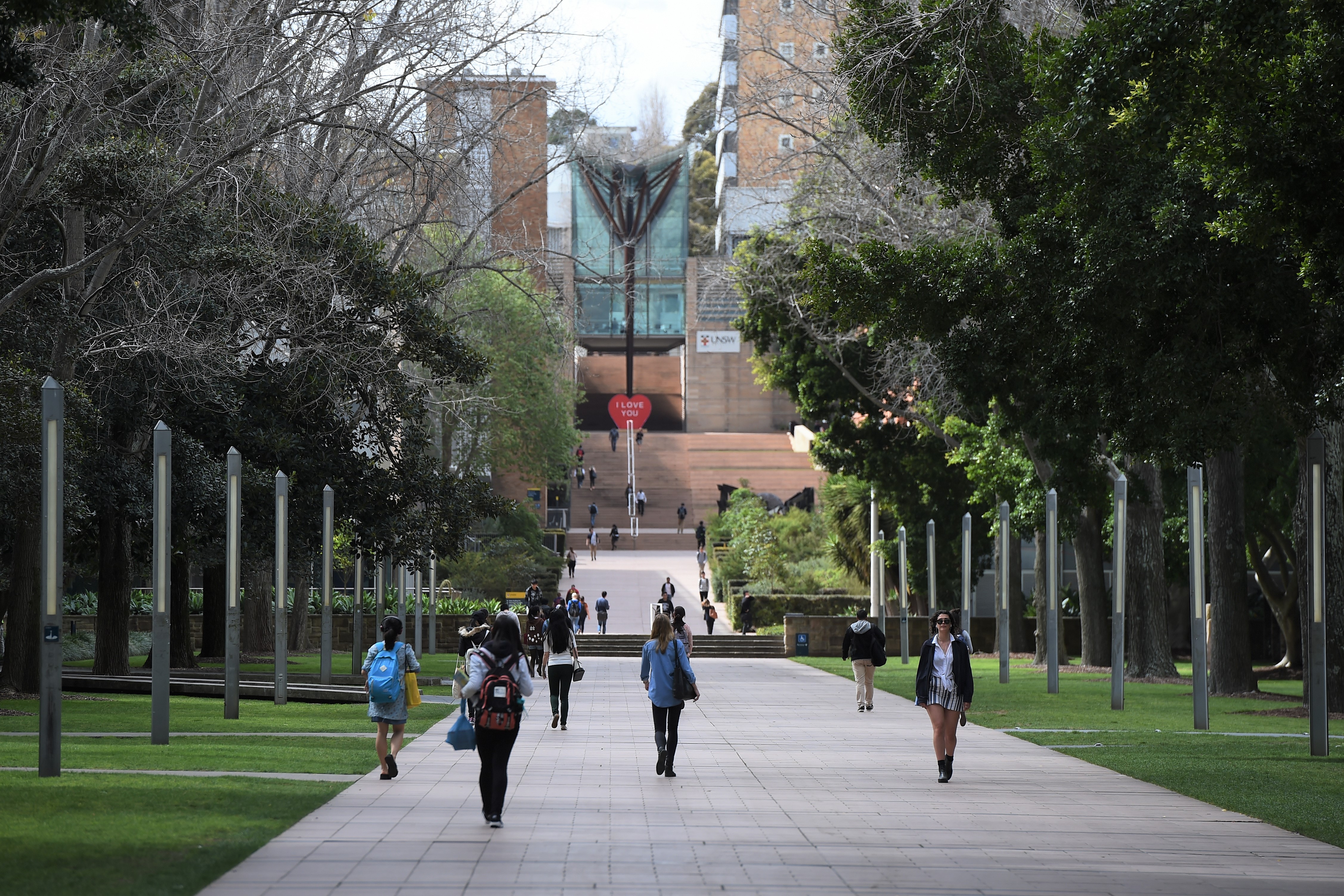 The Long March of Woke Ideology Through the Universities - Vimarsana News