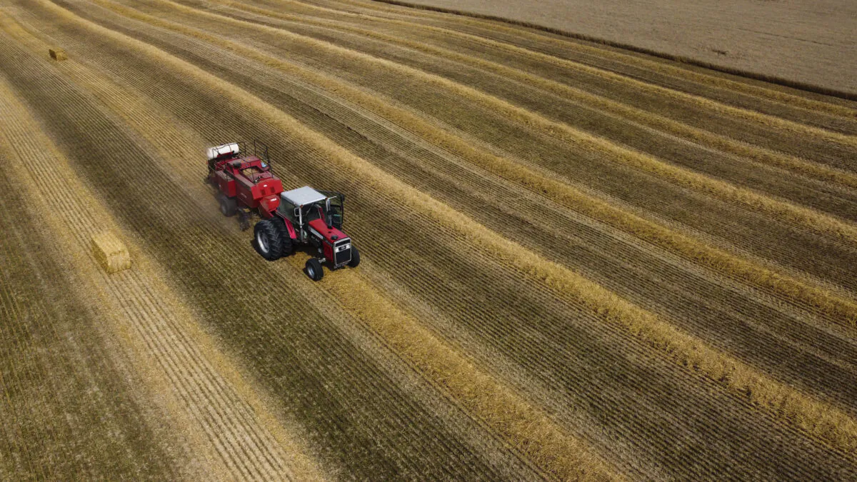 A farmer works in a field in Mississippi Mills, Ontario, on Aug 10, 2021, in this photo taken using a drone. (Sean Kilpatrick/The Canadian Press)