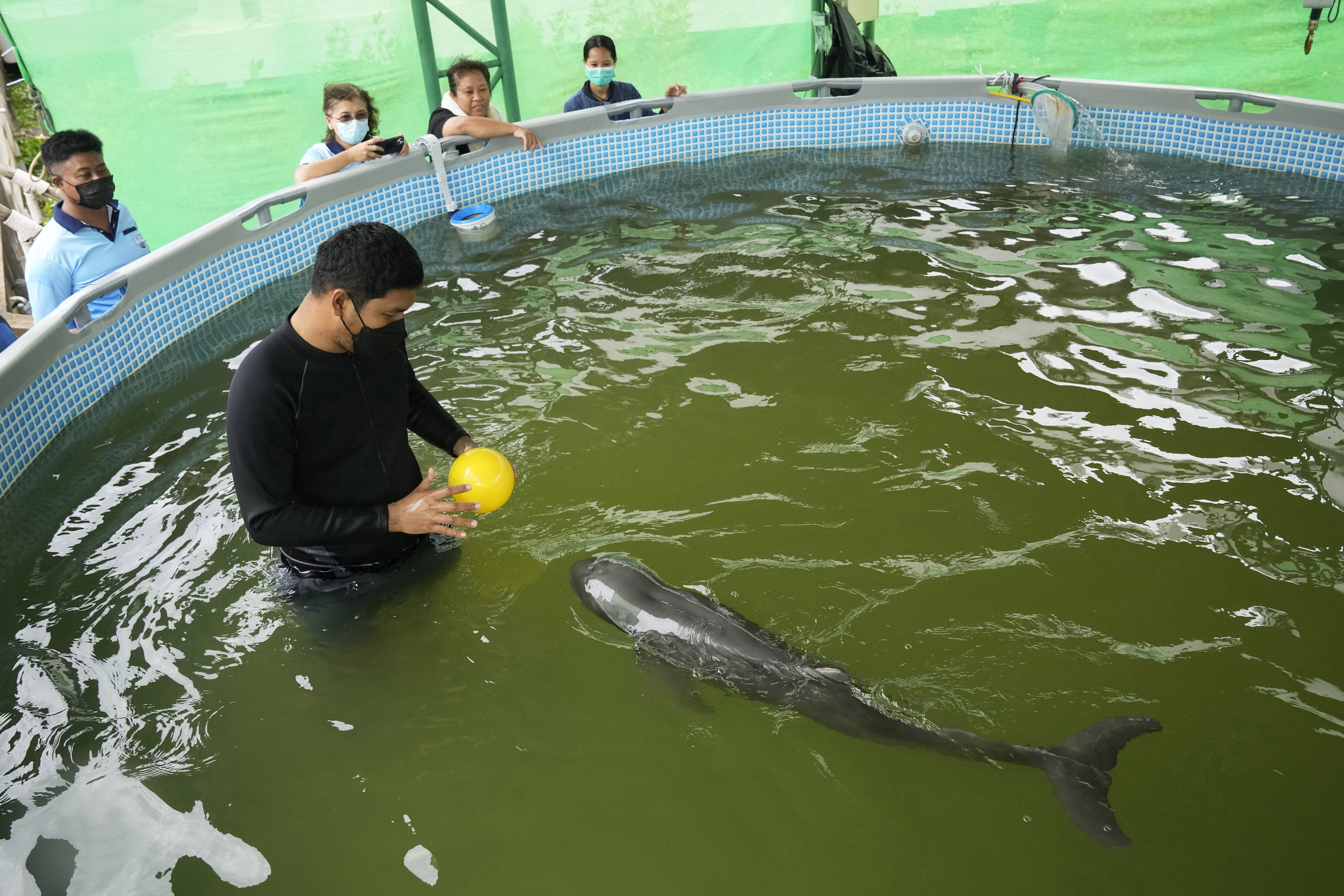 Epoch Times Photo