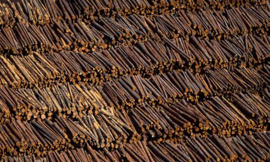 Canada Formally Initiates Challenge of ‘Unfair’ US Duties on Softwood Lumber