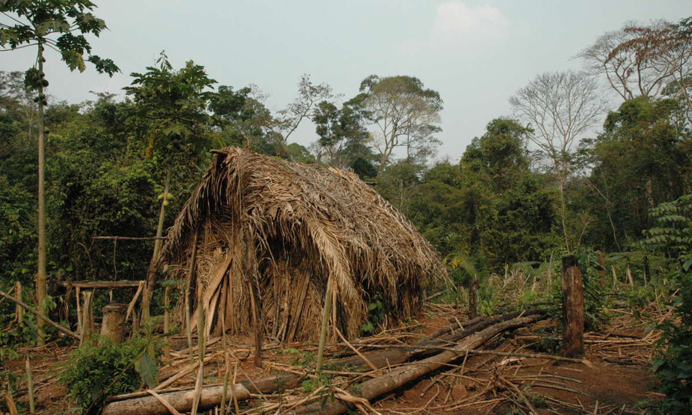 'Man of the Hole,' Last Survivor of Uncontacted Amazon Tribe, Died - Vimarsana News