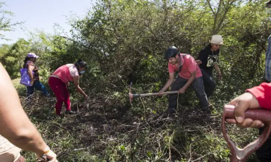 3rd Volunteer Grave Search Activist Killed in Mexico