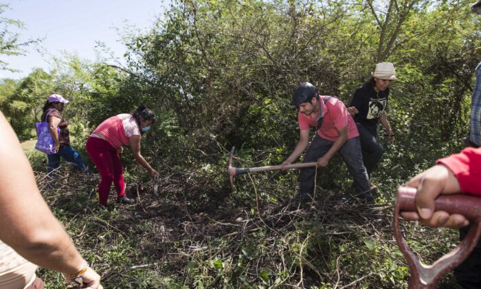 Families of disappeared and several peasant organizations look for clandestine graves in Iguala, Mexico, on Nov. 23, 2014. (Christian Palma/AP Photo)