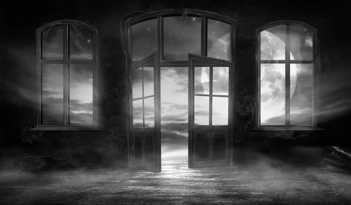 (Mia Stendal/Shutterstock)