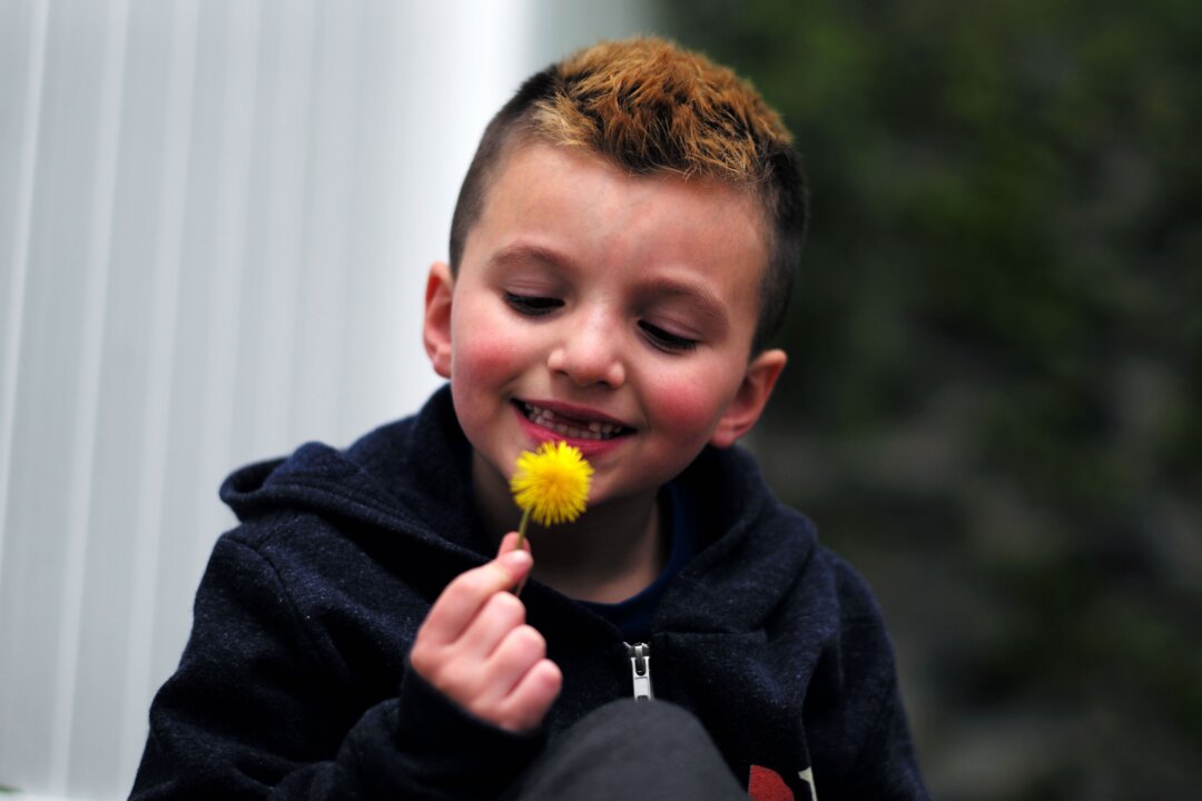 A 7-year-old transgender child poses for photos in Melrose, Mass., on May 9, 2017. (Jewel Samad/AFP via Getty Images)