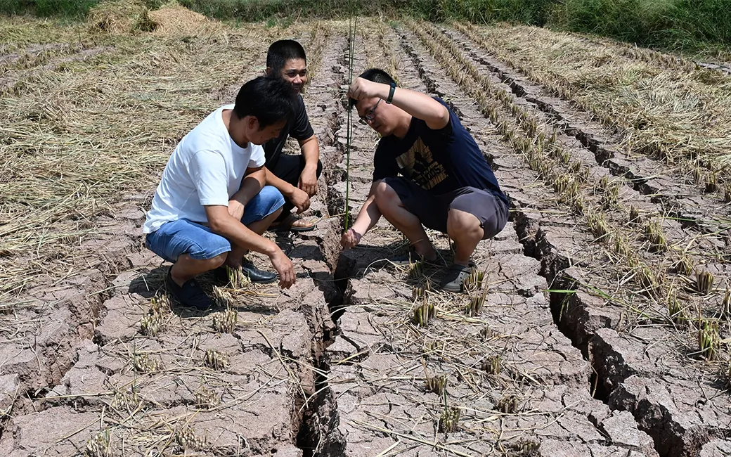 Farmers inspect a field parched by drought in Neijiang, Sichuan Province, China, on Aug. 26, 2022. (VCG/Getty Images)