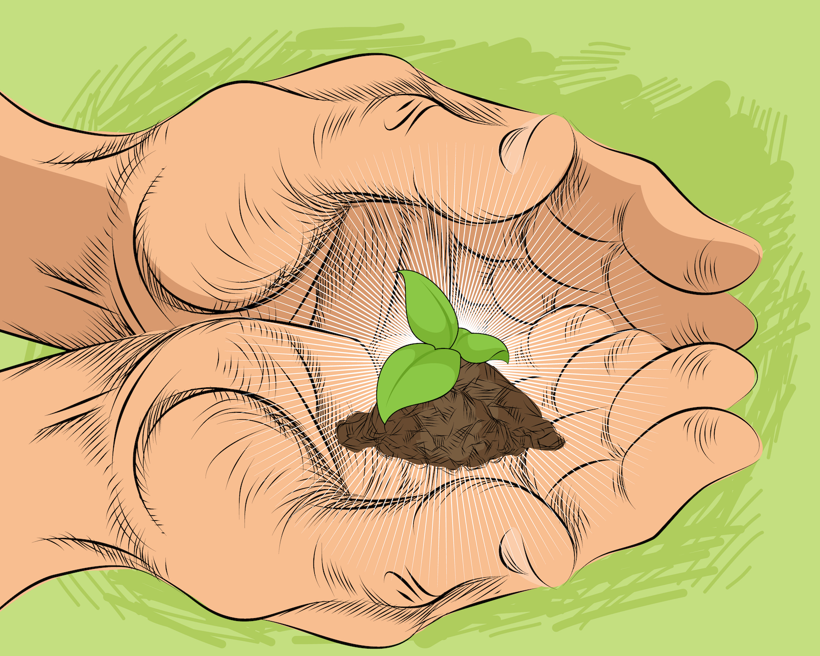 Buying a Healthier Planet (And Better Products) - Vimarsana News