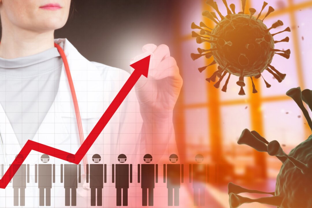 Did Lockdowns Cause Increased Mortality Rates?