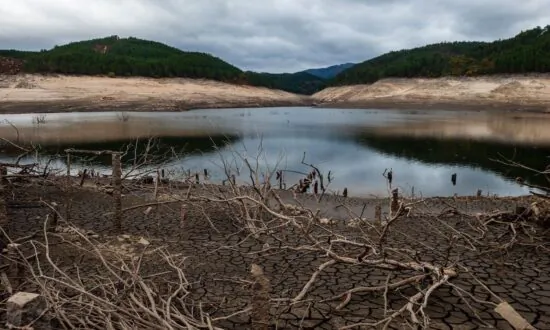 Global Electricity Generated by Hydropower Hit Hard by Severe Droughts