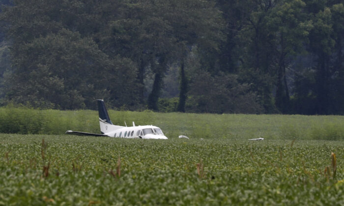 A stolen airplane rests in a field of soybeans after crash-landing near Ripley, Miss., on Sept. 3, 2022. (Nikki Boertman/AP Photo)