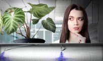 Lie Detectorist Reveals Plants Have Senses, Can Read Minds—And Quantum Entanglement Could Explain How