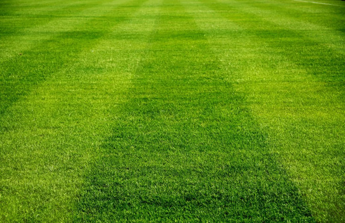 Stock photo of a soccer field. (Chartgraphic/Shutterstock)