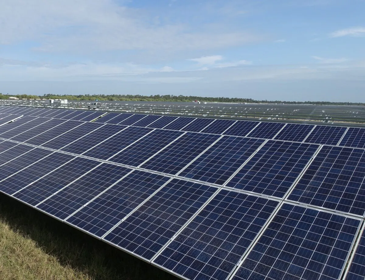 A solar farm under construction in Punta Gorda, Fla., on April 22, 2016. (Kerry Sheridan/AFP via Getty Images)