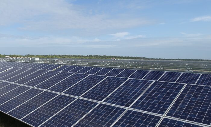 A solar farm under construction in Punta Gorda, Fla., on April 22, 2016. (Kerry Sheridan/AFP via Getty Images)