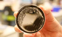 Las Vegas Hotel Guests Test Positive For Legionnaires’ Disease: Health District