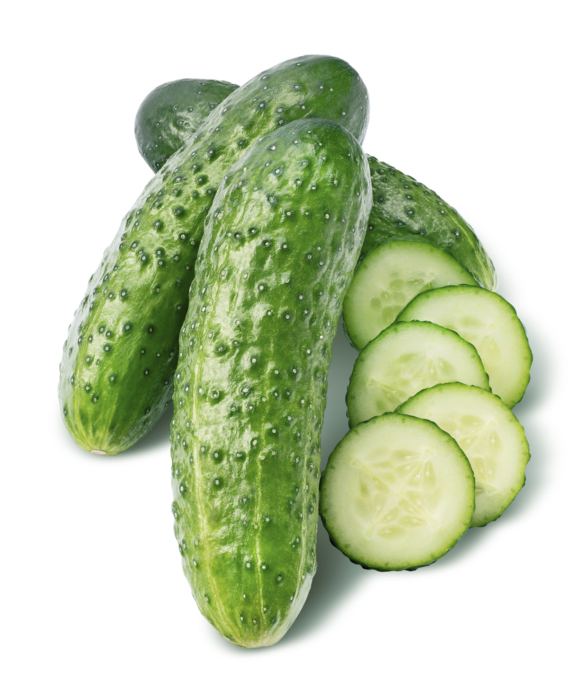Cucumber,Group,And,Round,Pieces,Isolated,On,White,Background,As