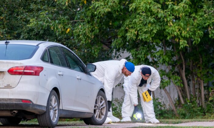 Investigators in protective equipment examine the ground at a crime scene in Weldon, Sask., on Sept. 4, 2022. (Heywood Yu/The Canadian Press)