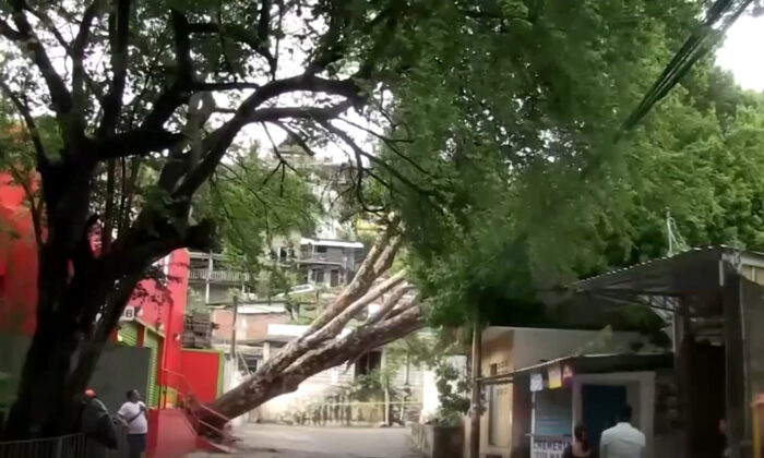 A tree falls on a home amid Tropical Storm Kay, in Acapulco, Guerrero, Mexico, on Sept. 4, 2022, in a still from video. (Reuters/Screenshot via The Epoch Times)
