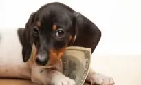 Terrible Things People Do for Money: What You Need to Learn