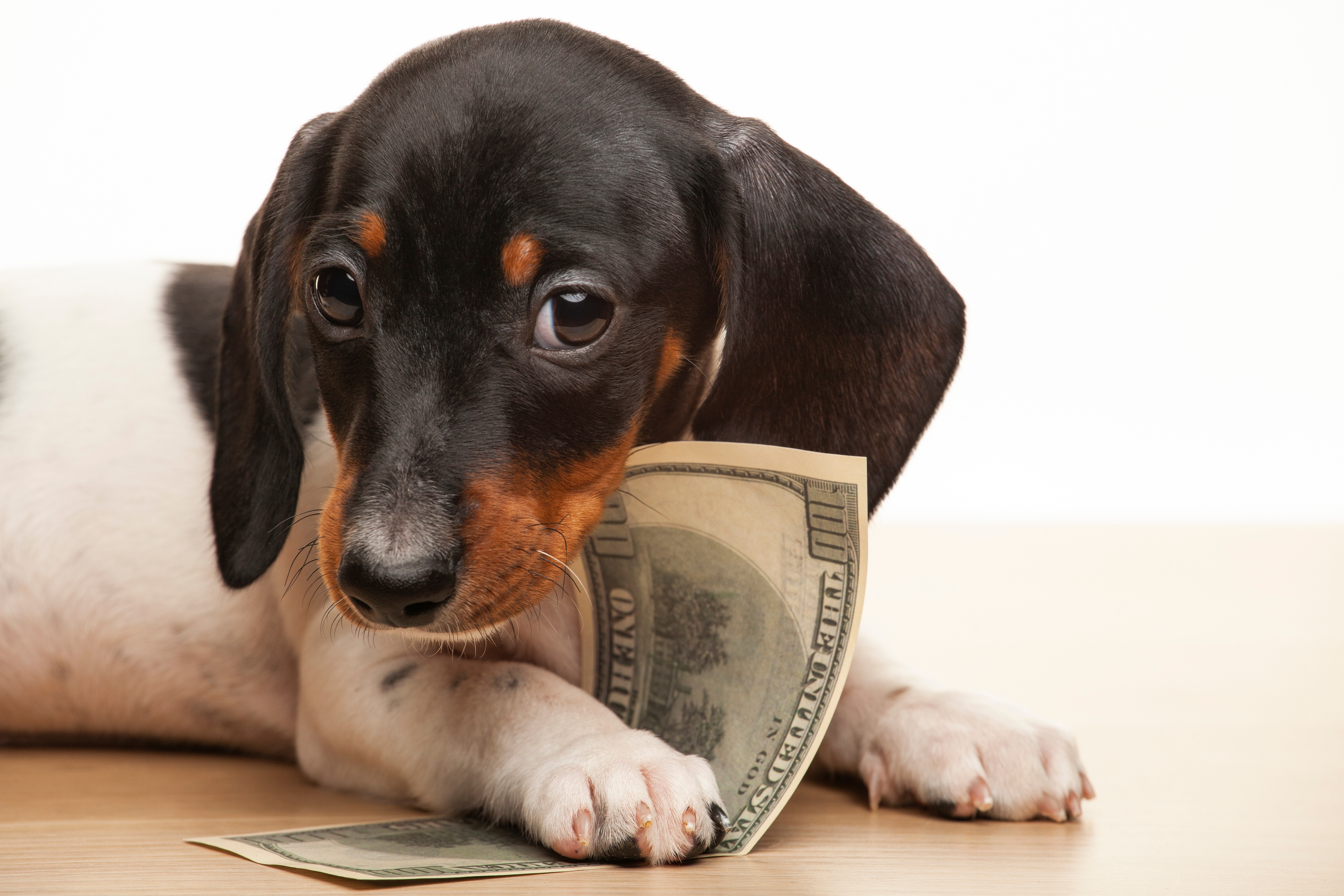 Family Finances: Starting the New Year Without Guilt - Vimarsana News