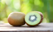 Kudos for Kiwi!
