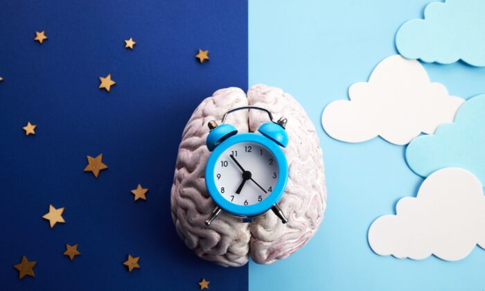 Hypothesis: Circadian Rhythm Links Mental Disorders