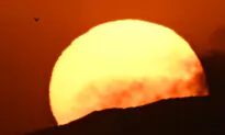 California Heat Wave Threatens Blackouts; Trump-Backed Geoff Diehl Wins MA GOP Gubernatorial Primary | NTD Good Morning