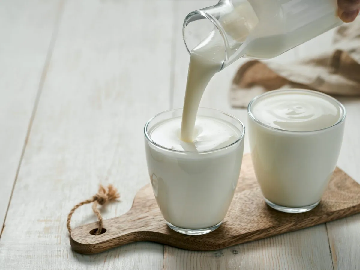 Yogurt is a great fermented food to try making at home. (Fascinadora/Shutterstock)