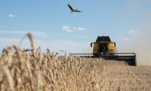 US and Global War on Farmers Intensifies Amid Food Shortages