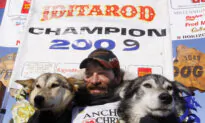 Cancer Claims 4-Time Iditarod Champion Lance Mackey