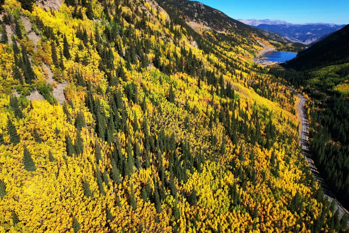Fall colors as seen at Guanella Pass last September. Leaf-peeping season this year is expected to be good to great, with the peak in the northern mountains expected in mid-September. (Hyoung Chang/ The Denver Post/TNS)