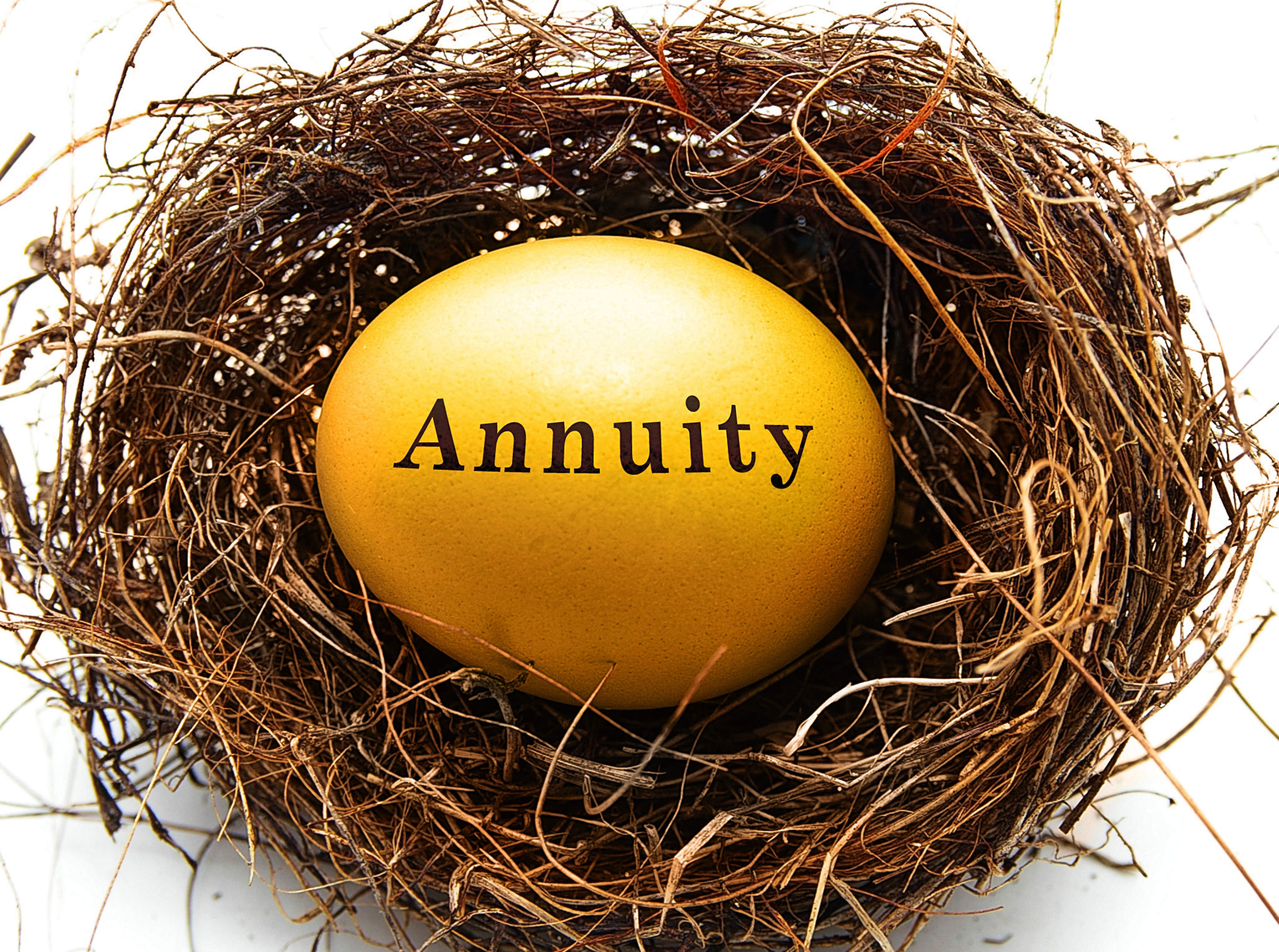 Annuity Options for Retirement Savings—No Fuss, No Jargon, No Gimmicks - Vimarsana News