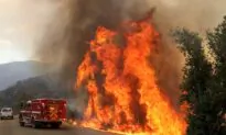 Southern California Fire Burns Down 36 Structures, at 53 Percent Containment