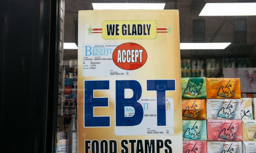 Sen. Ernst claims Food Stamp Program loses  billion monthly due to suspected fraud and errors.