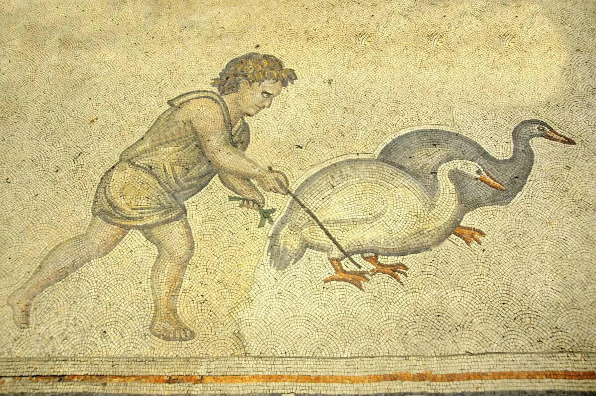 Roman mosaic of a young man herding geese. (mountainpix/Shutterstock)