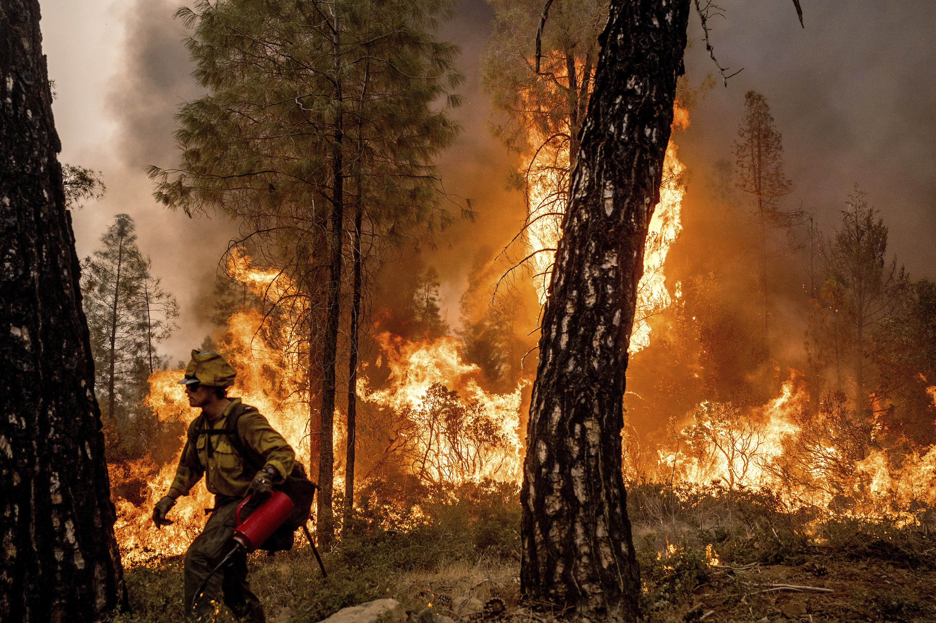 West fire. Лесные пожары. Леса Вашингтона. Погода огонь.