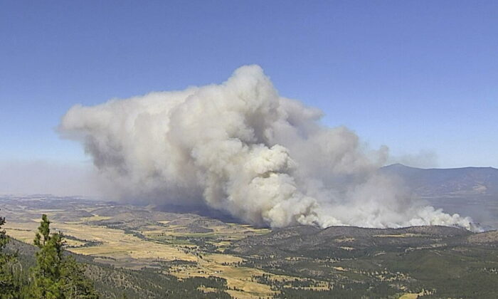 磨坊大火于 2022 年 9 月 2 日在加利福尼亚州威德附近燃烧。（Cal Fire/ALERTWildfire Network via AP）