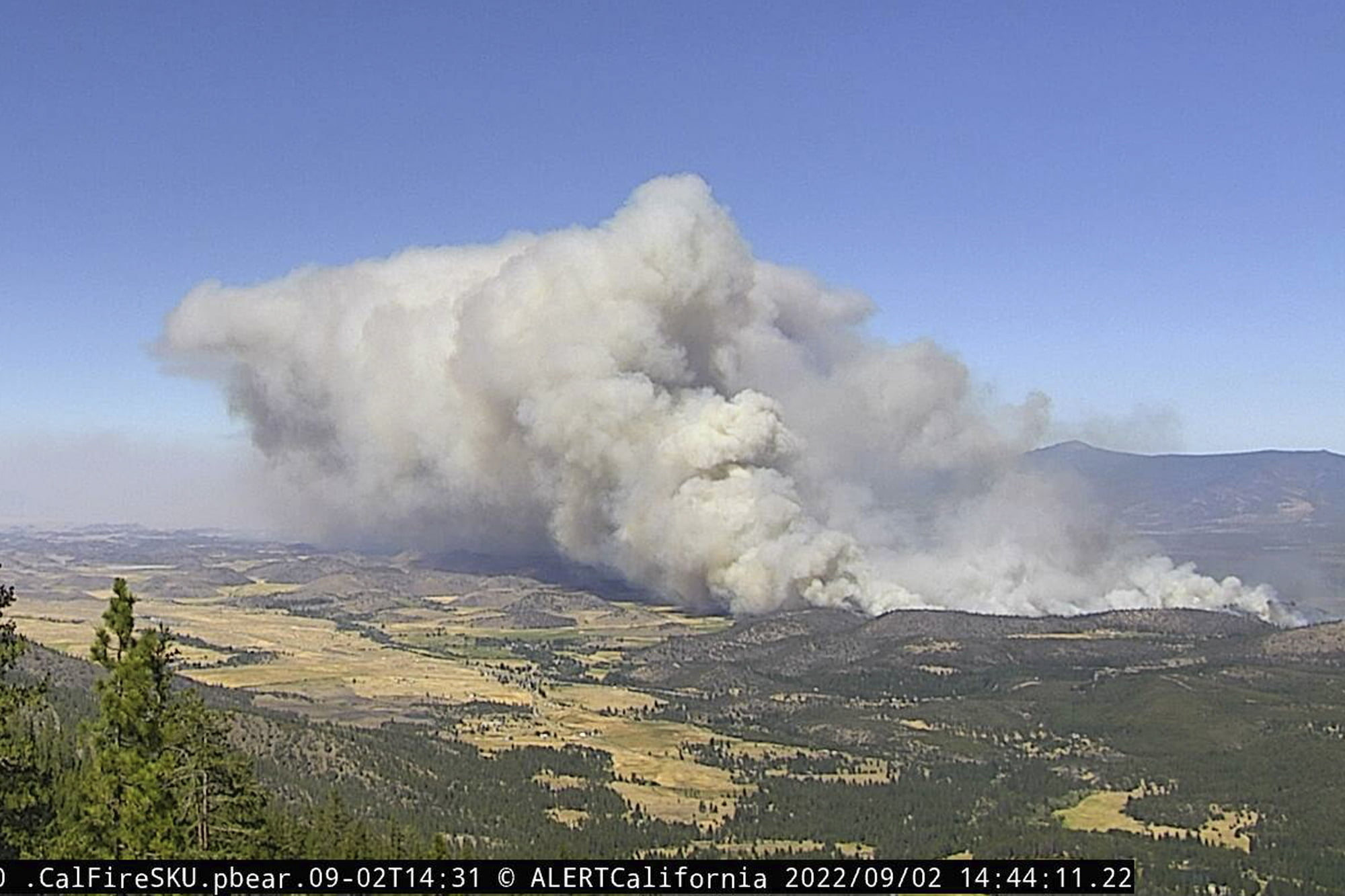 Northern California Wildfire Burns Homes, Causes Injuries - Vimarsana News
