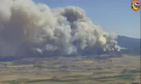 California Mill Fire Destroys 100 Homes