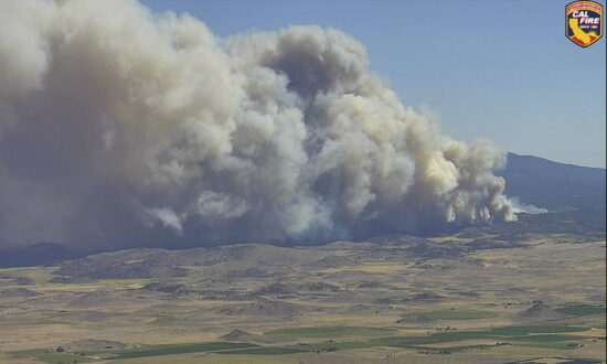 California Mill Fire Destroys 100 Homes