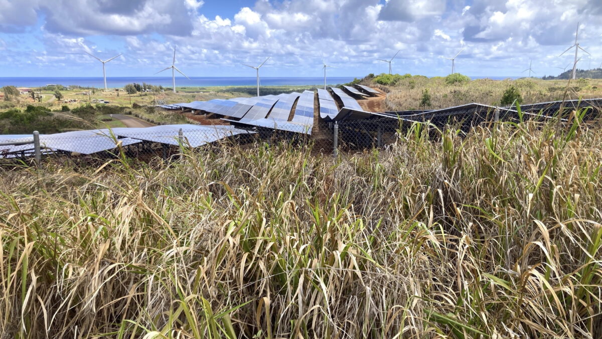 NextImg:All Green Energy Has 'Brown Costs': Former NASA Engineer