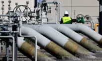 European Power Companies Demand Subsidies as Russian Gas Is Cut Off From Most of Europe