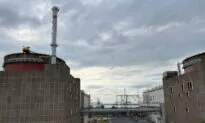 UN Agency Calls for Safety Zone Around Ukraine Nuclear Plant