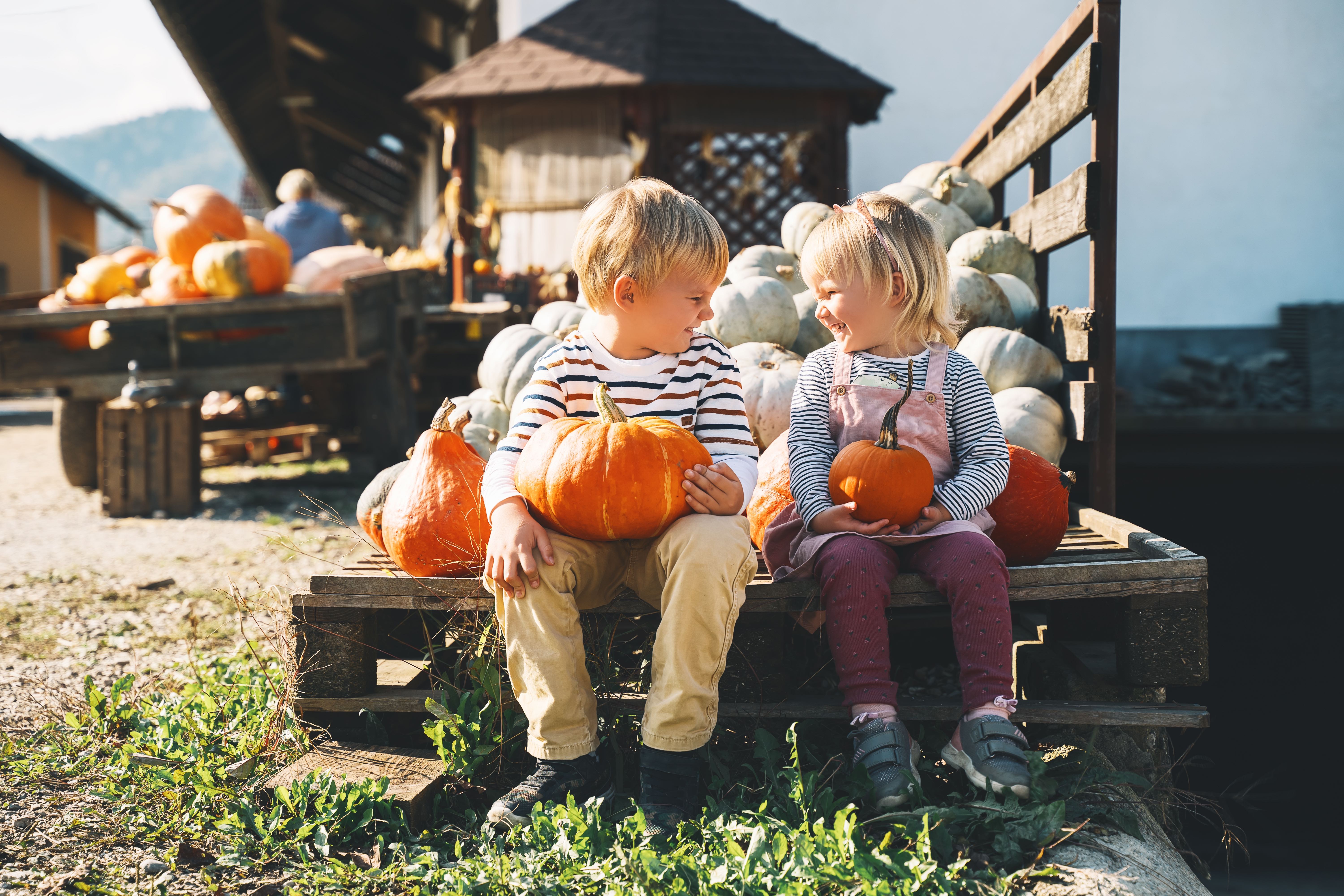 children sitting with pumpkins at a farmers market