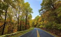 Fall Into Travel with Family Road Trips