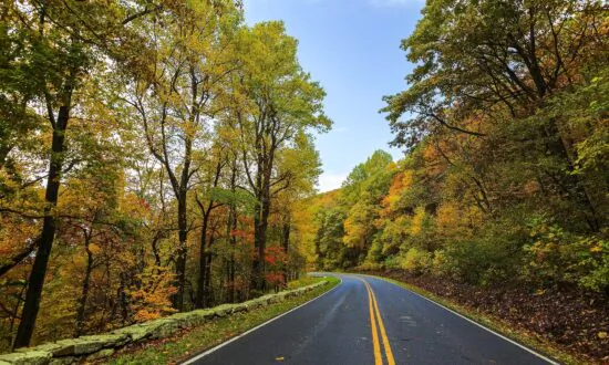 Fall Into Travel with Family Road Trips