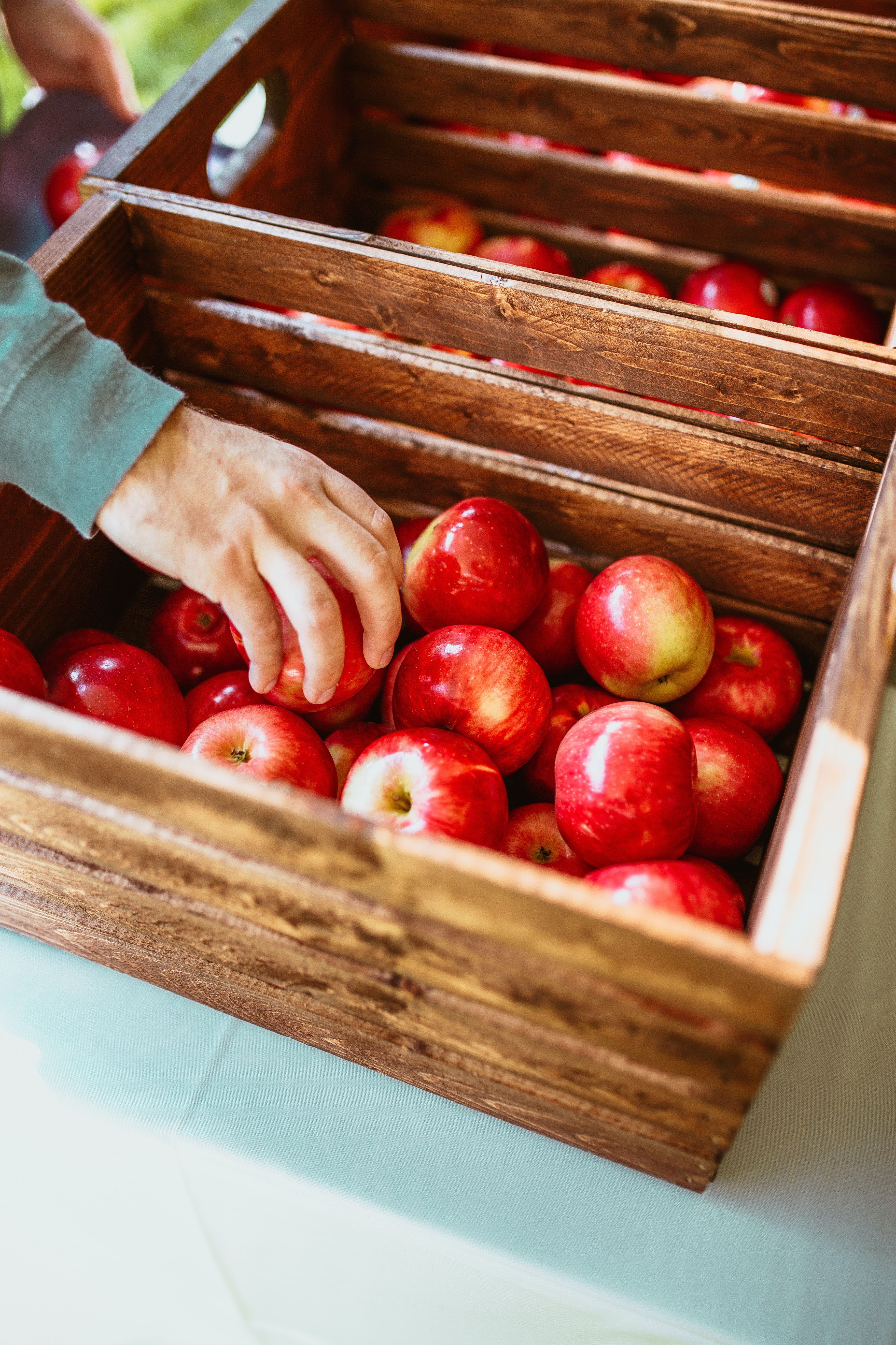 someone taking an apple from a crate