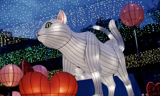 Mid-Autumn Lantern Display at Hong Kong Park Lights Up